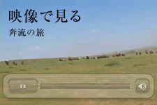 映像で見る奔流の旅